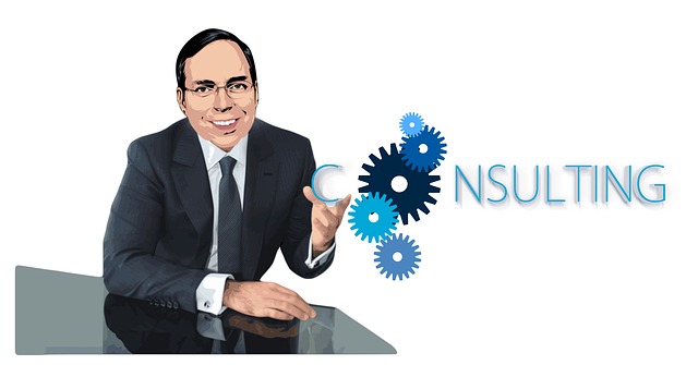 konsultace podnikatele